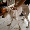 안암지구대 이미지