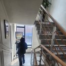 성실동물병원(출장진료전문동물병원) | 울산동물병원[학성동]