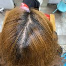 깔롱헤어 | 만수동 미용실 / 구월동 미용실 :: 헤어깔롱 뿌리염색 후기, 네일샵 있는 헤어샵
