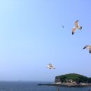 해돋이휴게소 2층 이미지