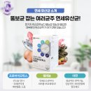 균이 산다? 다이어트와 장건강을 한번에! 태생이 다른...늘려 슬림한 라인 완성, 연세 프로바이오틱스...