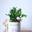 고은나라의원 이미지