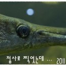 아쿠아월드 이미지