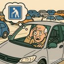 생성도시 - 가족 이미지