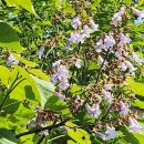 승호축산 이미지