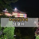 삼매집 | 부산 삼광사 연등축제 2026년 실시간 후기 대중교통 가는법 포토존 위치 꿀팁