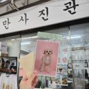 댕댕이뽀샵 이미지