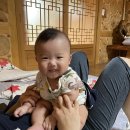 산삼꽃피는마을 이미지