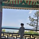 봉길대왕암(문무대왕릉) 이미지