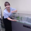 에어돔축구장 이미지