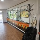 (주)젠트리온 이미지