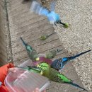 홍성농장 이미지