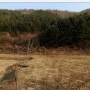 비발디 후문 이미지