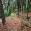 잣나무약수터 이미지