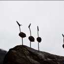 동강할미꽃펜션 이미지