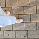 옵티마 청운약국 이미지