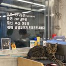 롤링제주