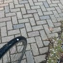 세종호수공원 제1주차장 | 세종시내 어진동 나성동 벚꽃 맛집 벚꽃길 스팟 만개 지방자치회관-세종호수공원제1주차장 사이 도로