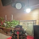 웰빙프라자 | 24시간 운영이라 더 편했던 웰빙 중국전통 마사지 후기 - 원주 반곡동 마사지샵 추천