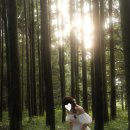 운동화2500 | 세번째 일지 | 25.12.14 제주 야외 웨딩 스냅 업체 후기 (+ 보정본 공개)