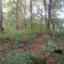 어은농장 이미지