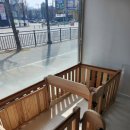 반짝일개 이미지