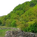 주원부동산중개 이미지