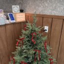 개 in 살롱 이미지