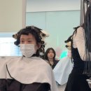 나는 우리집 미용사 | [꼬꼬 일상] 미용사의 길은 멀고도 험하다... 4호선에서 길 잃고 체외충격파에 무릎 꿇은 하루