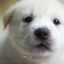 참 이미지