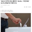 "총선서 민주당 후보 뽑겠다" 45.6%…"국민의힘" 34.1% [데일리안 여론조사] 이미지