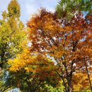 신정행정사 사무소 이미지