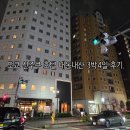 한국마트 사거리 | 도쿄 신주쿠 호텔 내돈내산 3박4일 후기