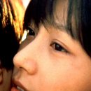 국화꽃향기 이미지