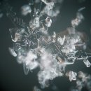 스노우뷰티 이미지