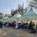 연천DMZ매실