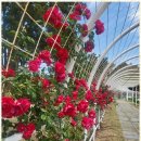 선뷰펜션 이미지