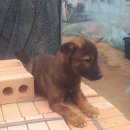 내눈안경 이미지