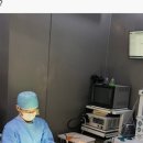 채움동물의료센터 이미지