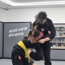 비앤지 주짓수&합기도 이미지