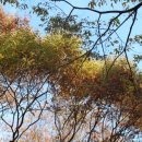 (주)요한푸드