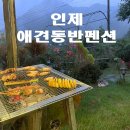 아름호텔 | [강원도 애견동반 추천] 인제 내린천아름펜션 후기, 강아지랑 힐링하기 좋은 숙소