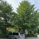 삼풍수영장 이미지