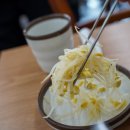 해오름 빛 이미지