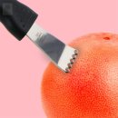 제스트칼 이미지