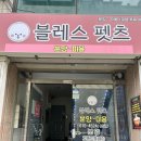 대전펫츠 | [대전신성동애견미용] 블리스펫츠 대전애견미용 추천 시츄 미용 후기