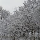 조은농장 이미지