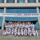 케이 용인대 태권도장 이미지