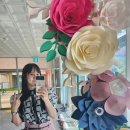 해송초등학교 앞 이미지