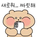 까사델 경주 네이버블로그